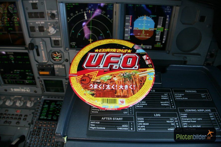 UFO in the Cockpit